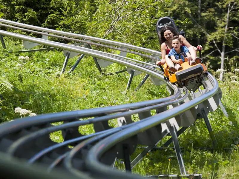 luge sur rails